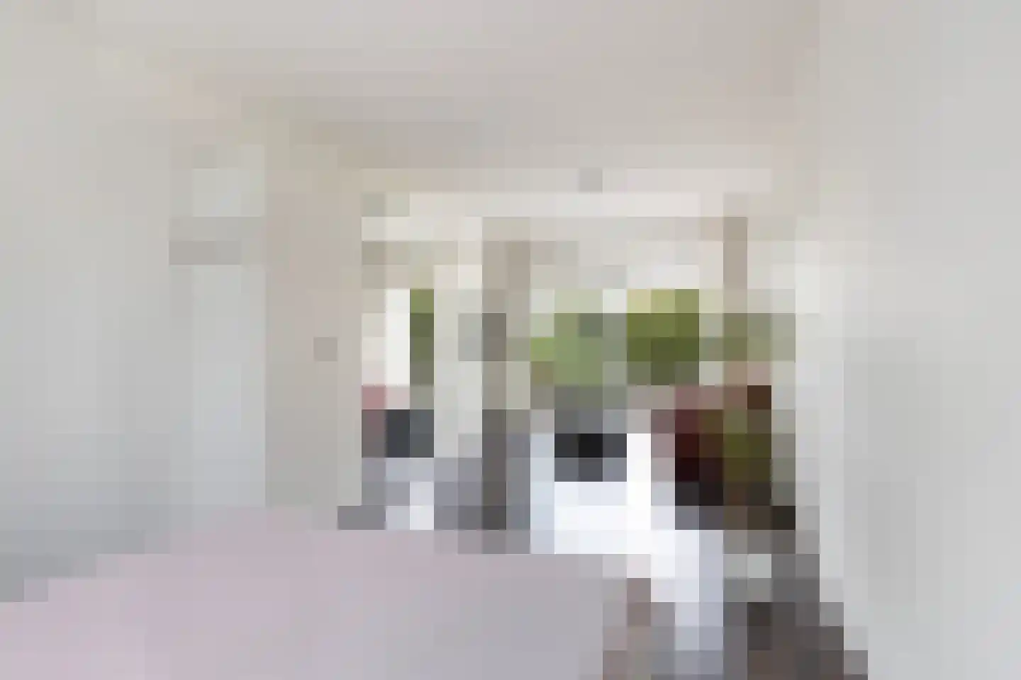 Bankastraat 33 Dordrecht thumbnail 47