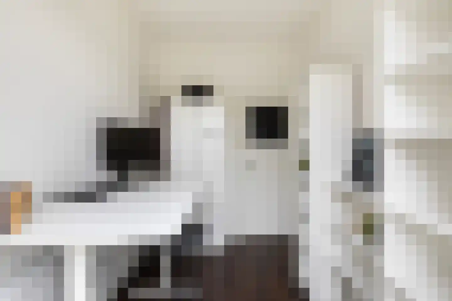Bankastraat 33 Dordrecht thumbnail 54