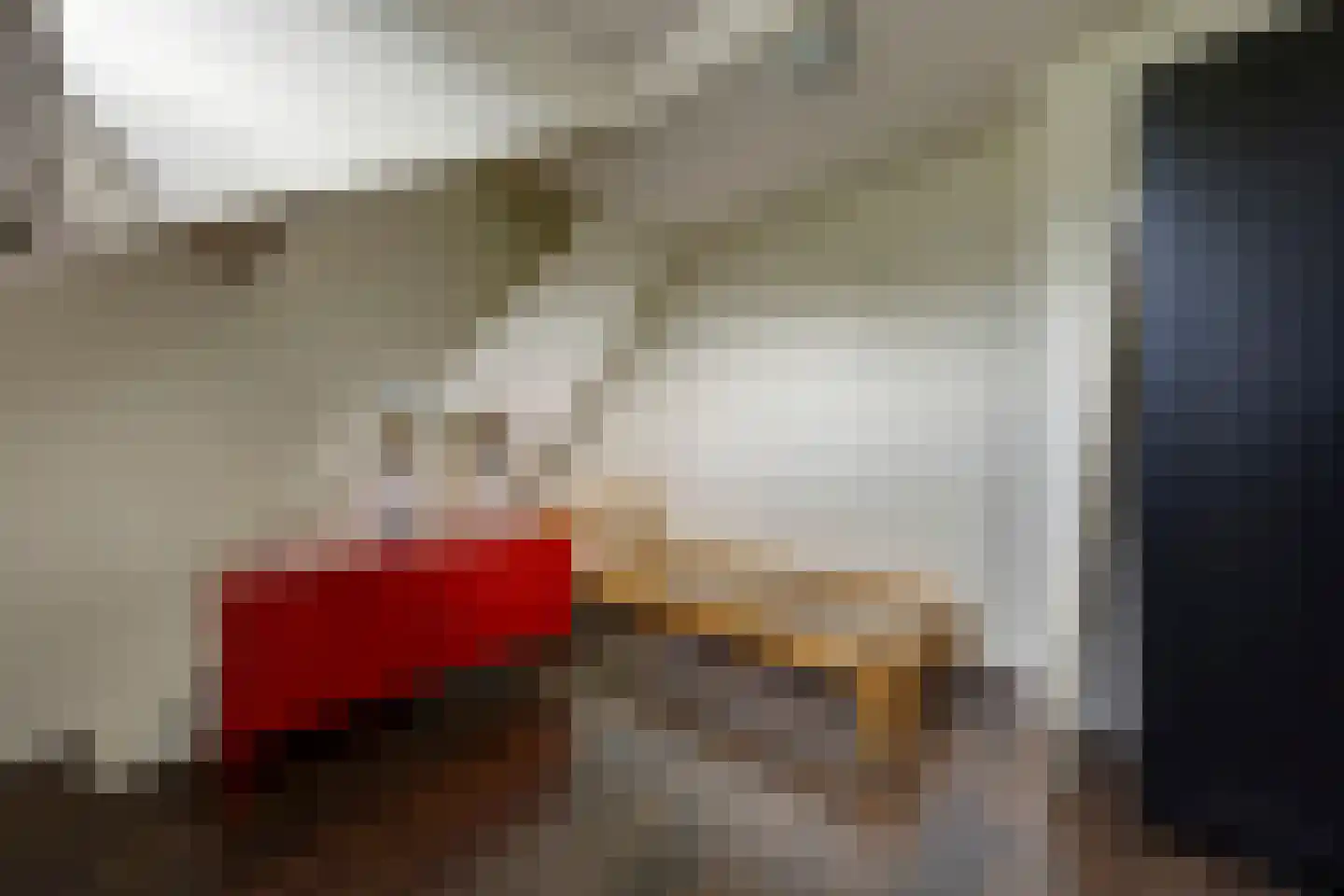 Bankastraat 33 Dordrecht thumbnail 62