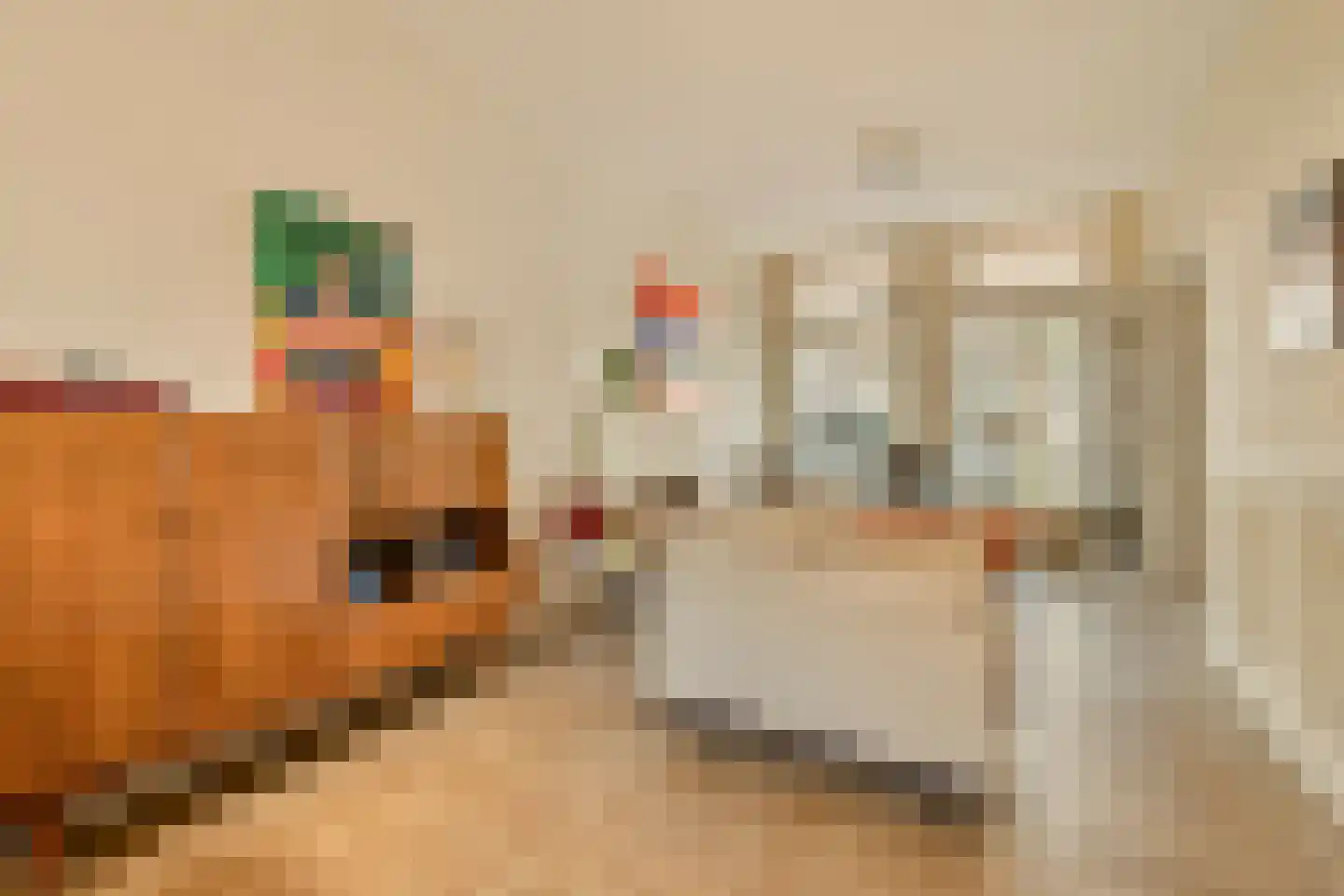 Bankastraat 34 Haarlem thumbnail 8