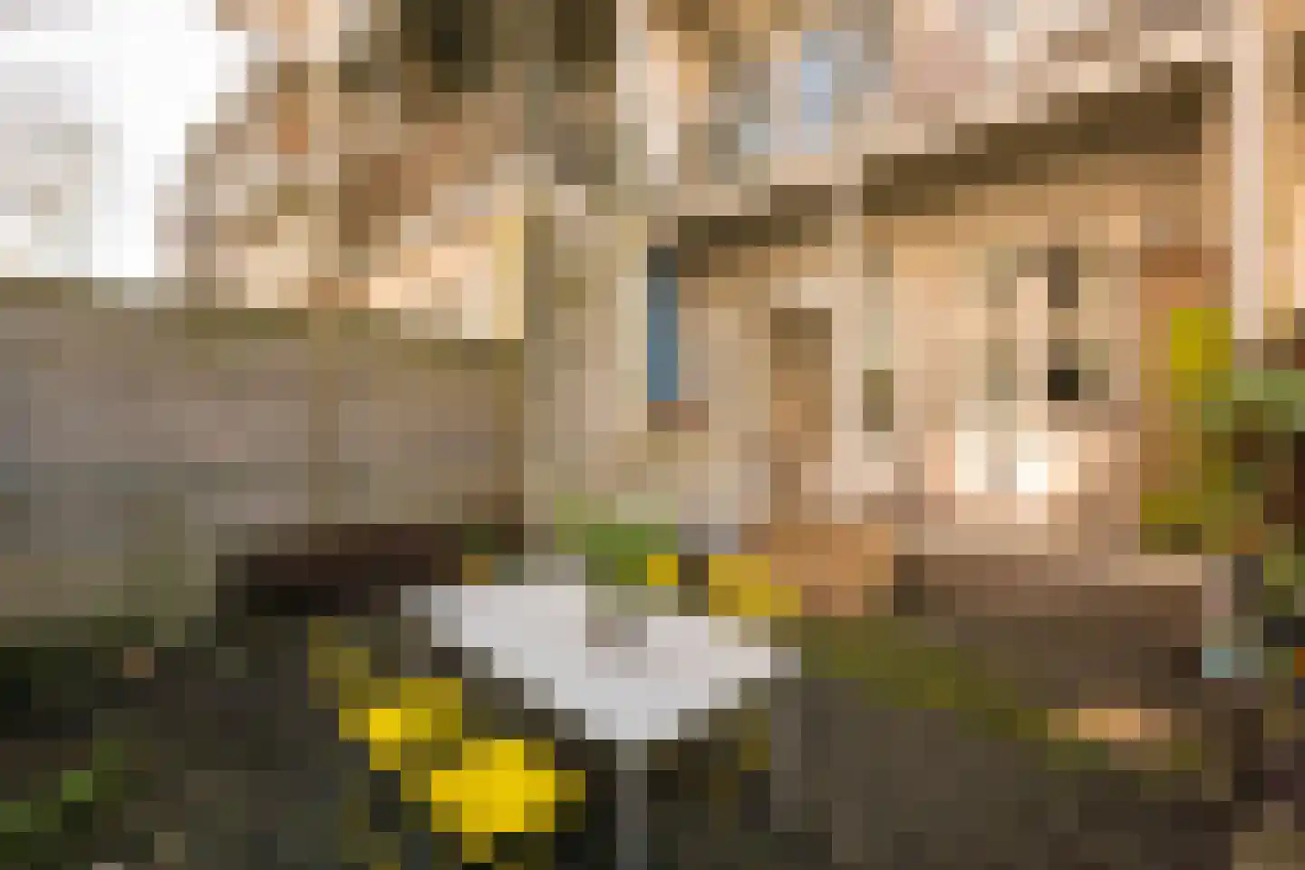 Bankastraat 37 A Amsterdam thumbnail 16