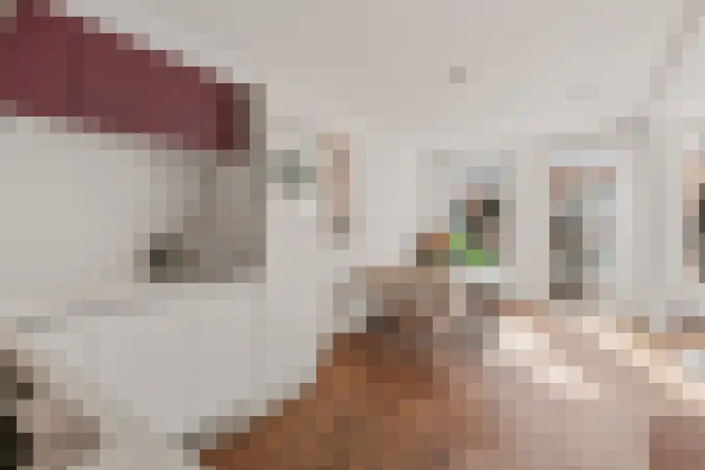 Bankastraat 37 D Amsterdam thumbnail 13