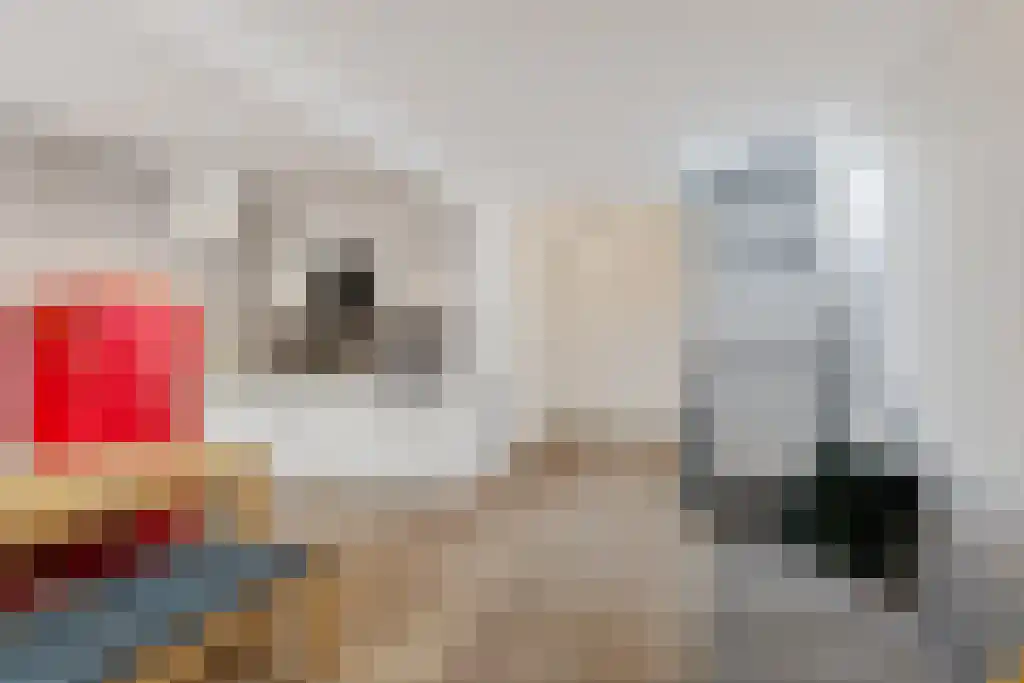 Bankastraat 39 E Amsterdam thumbnail 7