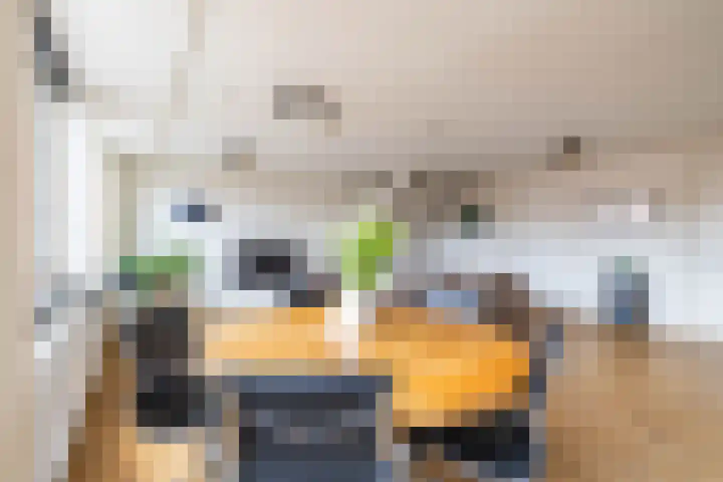 Bankastraat 42 h Groningen thumbnail 18