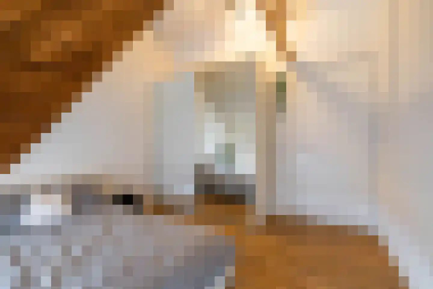Bankastraat 42 h Groningen thumbnail 29