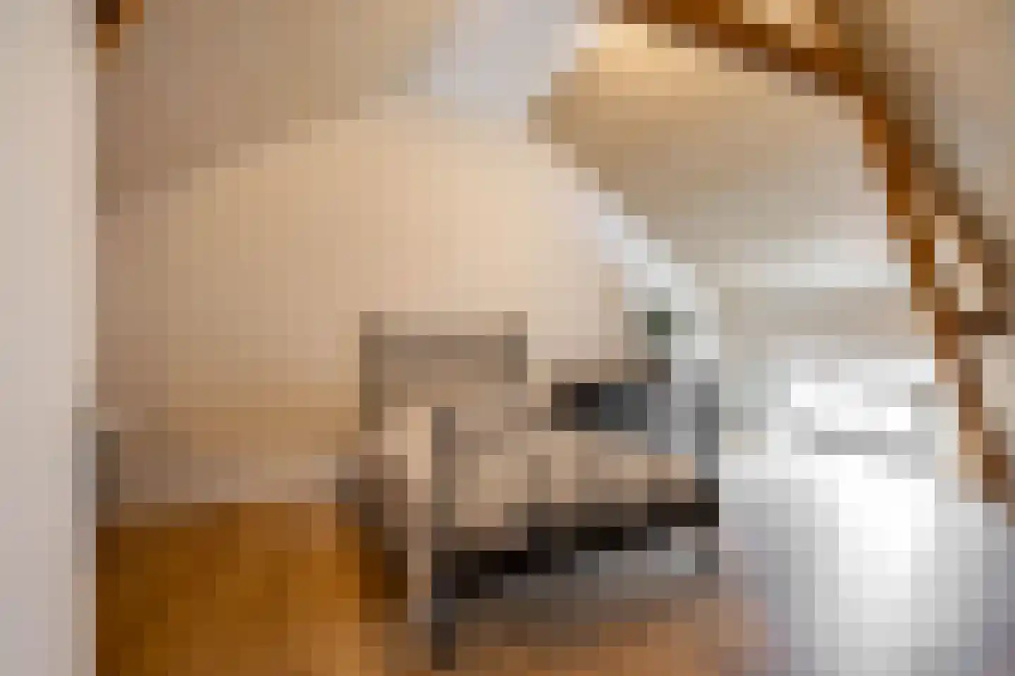 Bankastraat 42 h Groningen thumbnail 30