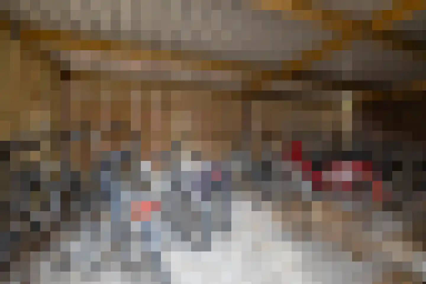 Bankastraat 42 h Groningen thumbnail 35