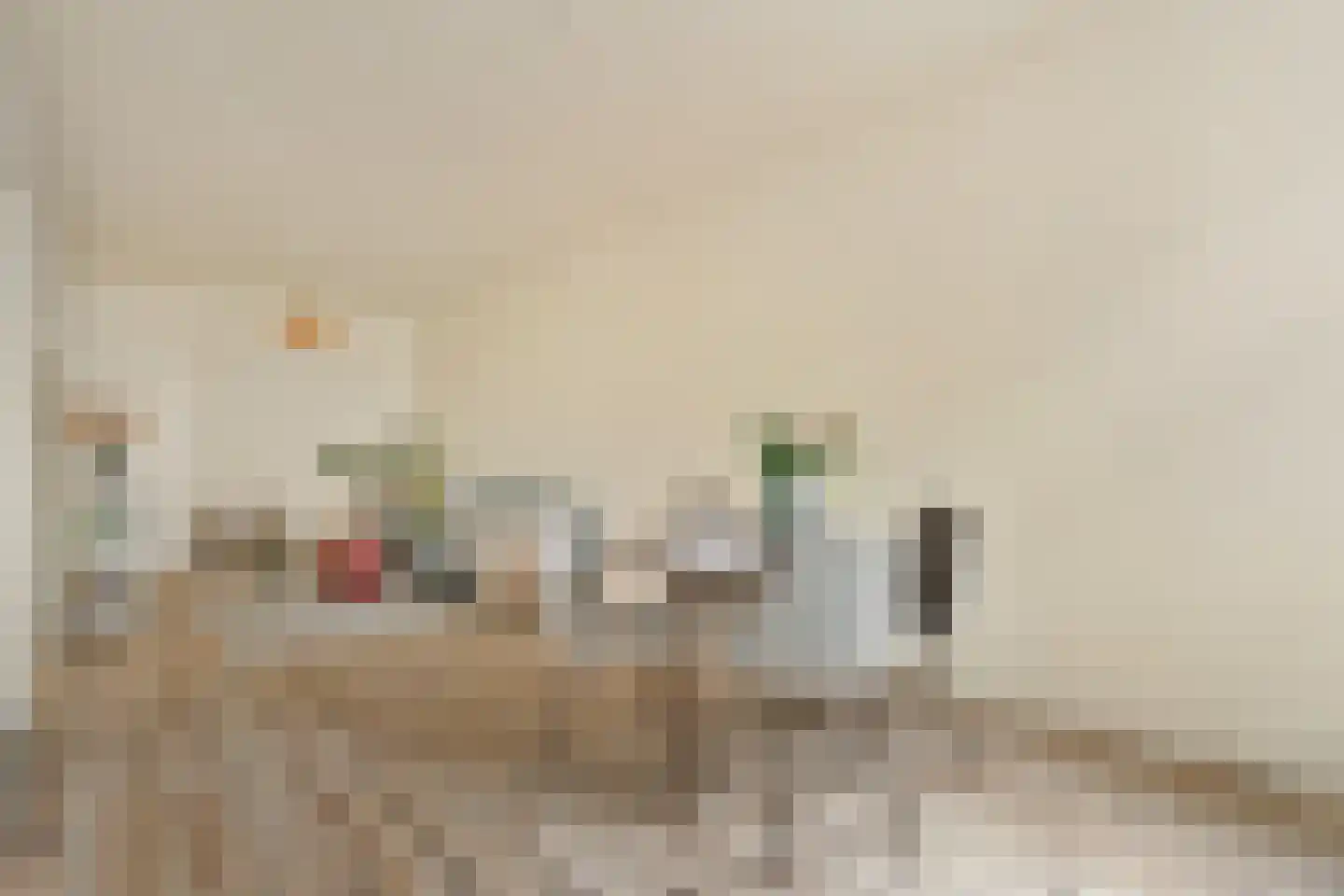 Bankastraat 47 1 Amsterdam thumbnail 10
