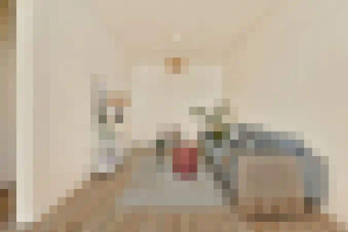 Bankastraat 47 1 Amsterdam thumbnail 11