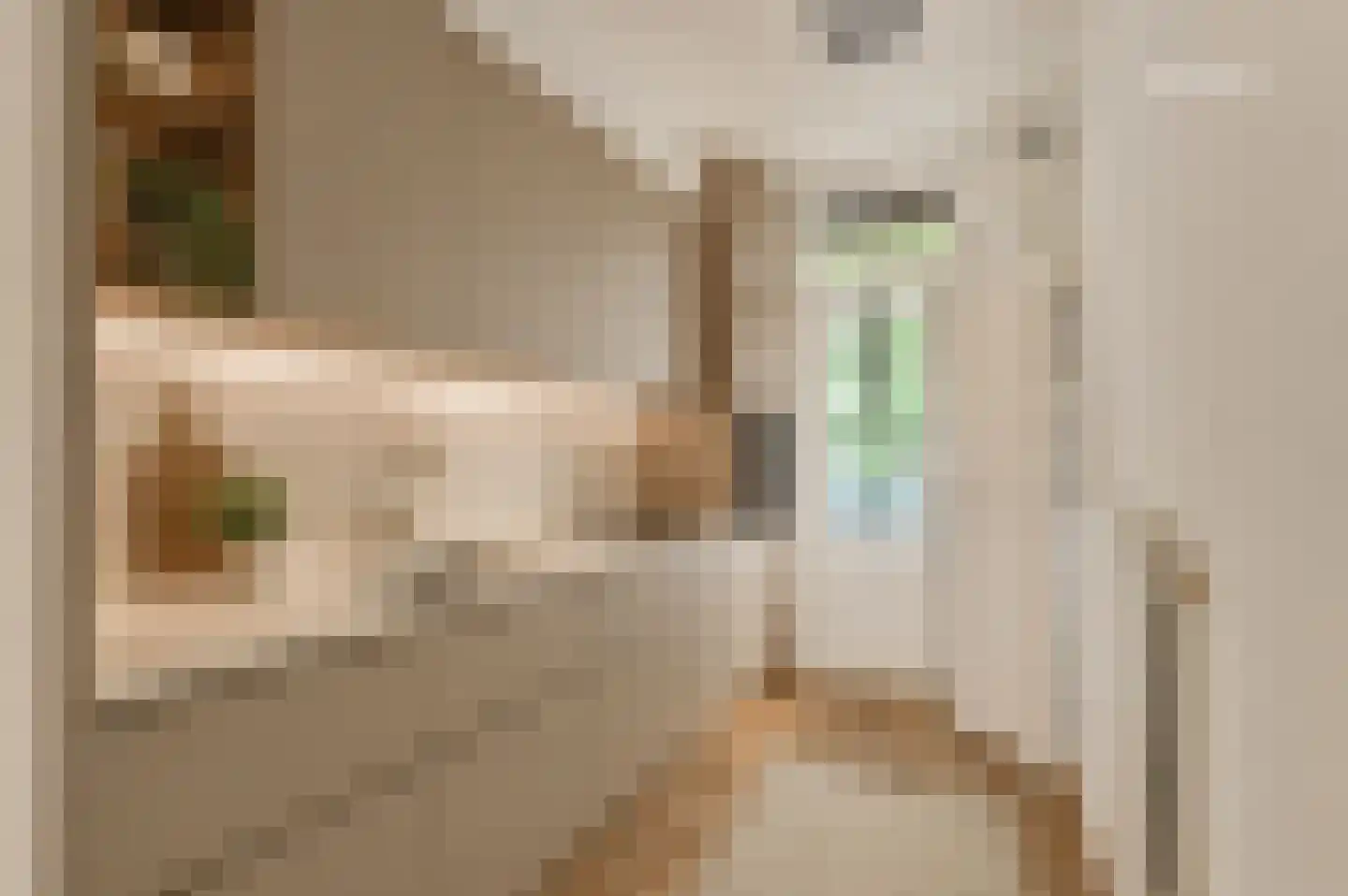 Bankastraat 47 1 Amsterdam thumbnail 13