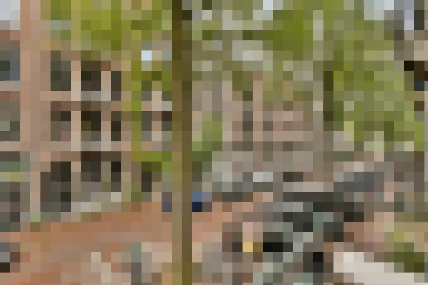 Bankastraat 47 1 Amsterdam thumbnail 8