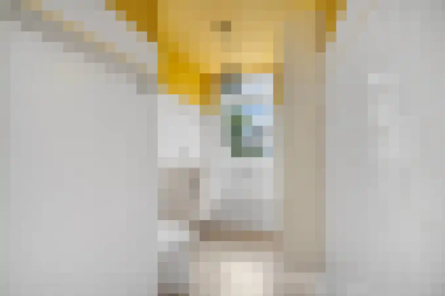 Bankastraat 49 4 Amsterdam thumbnail 18