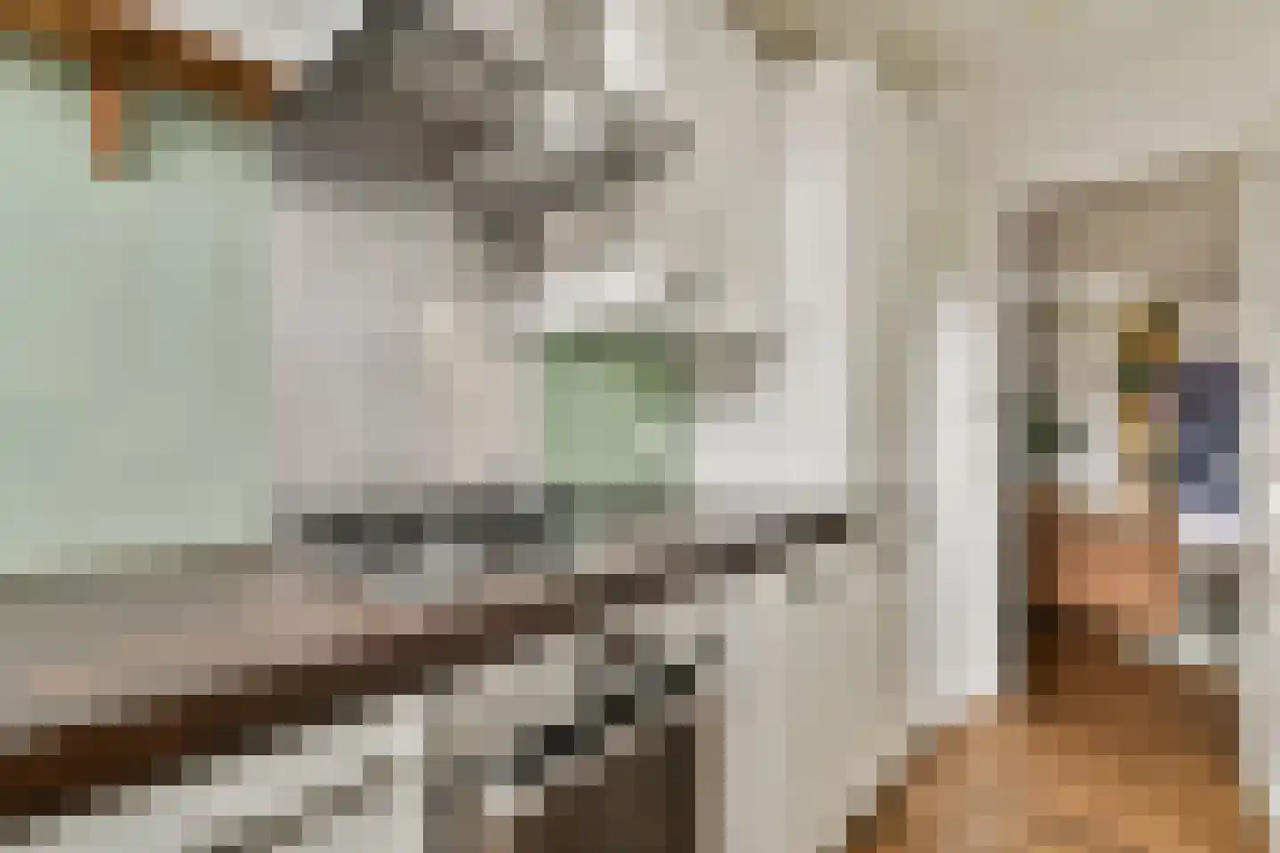 Bankastraat 50 3 Amsterdam thumbnail 11