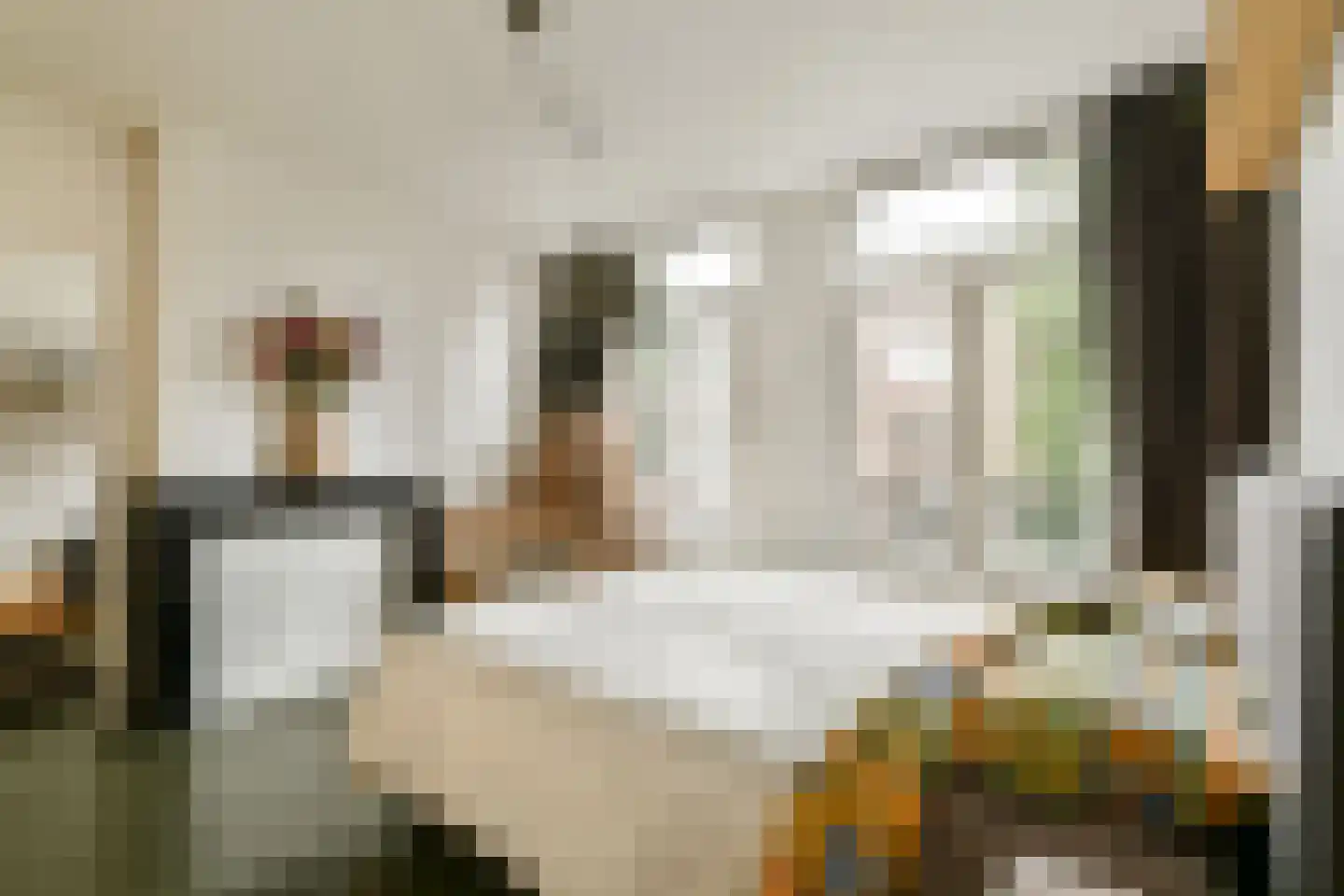 Bankastraat 50 3 Amsterdam thumbnail 16