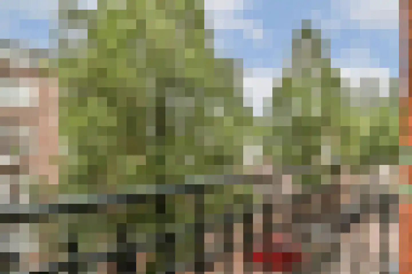 Bankastraat 50 3 Amsterdam thumbnail 19