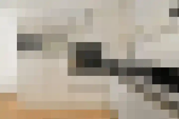 Bankastraat 51 3 Amsterdam thumbnail 9