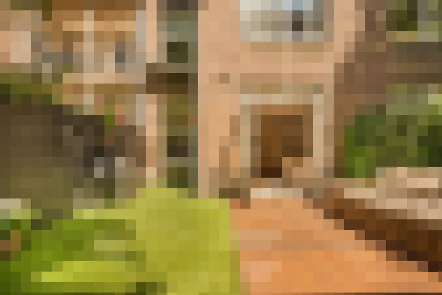 Bankastraat 52 A Amsterdam thumbnail 15