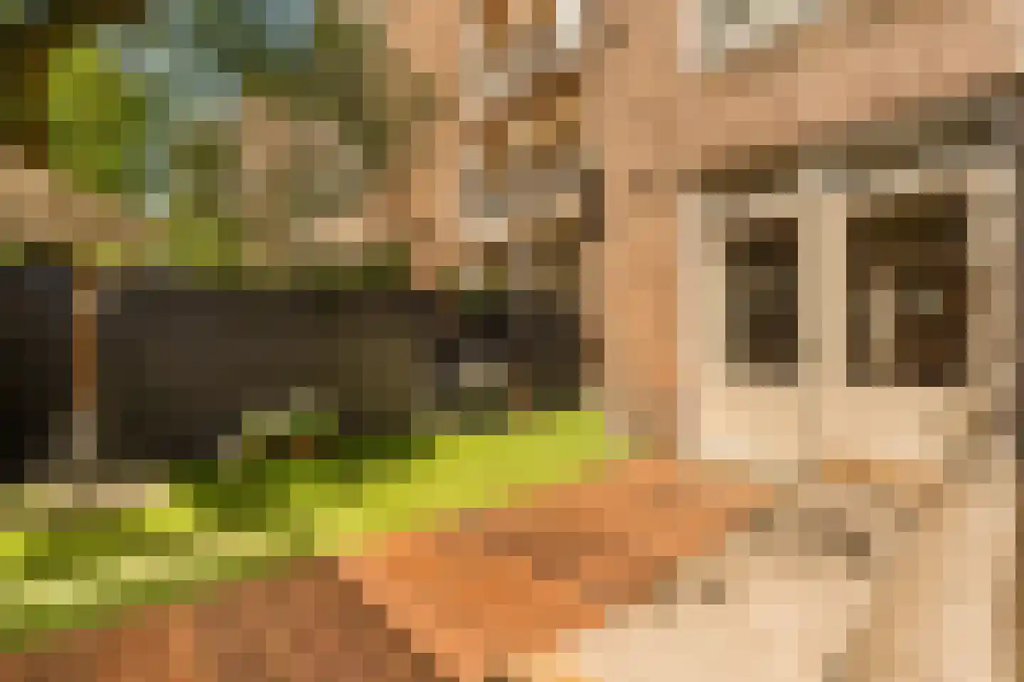 Bankastraat 52 A Amsterdam thumbnail 16