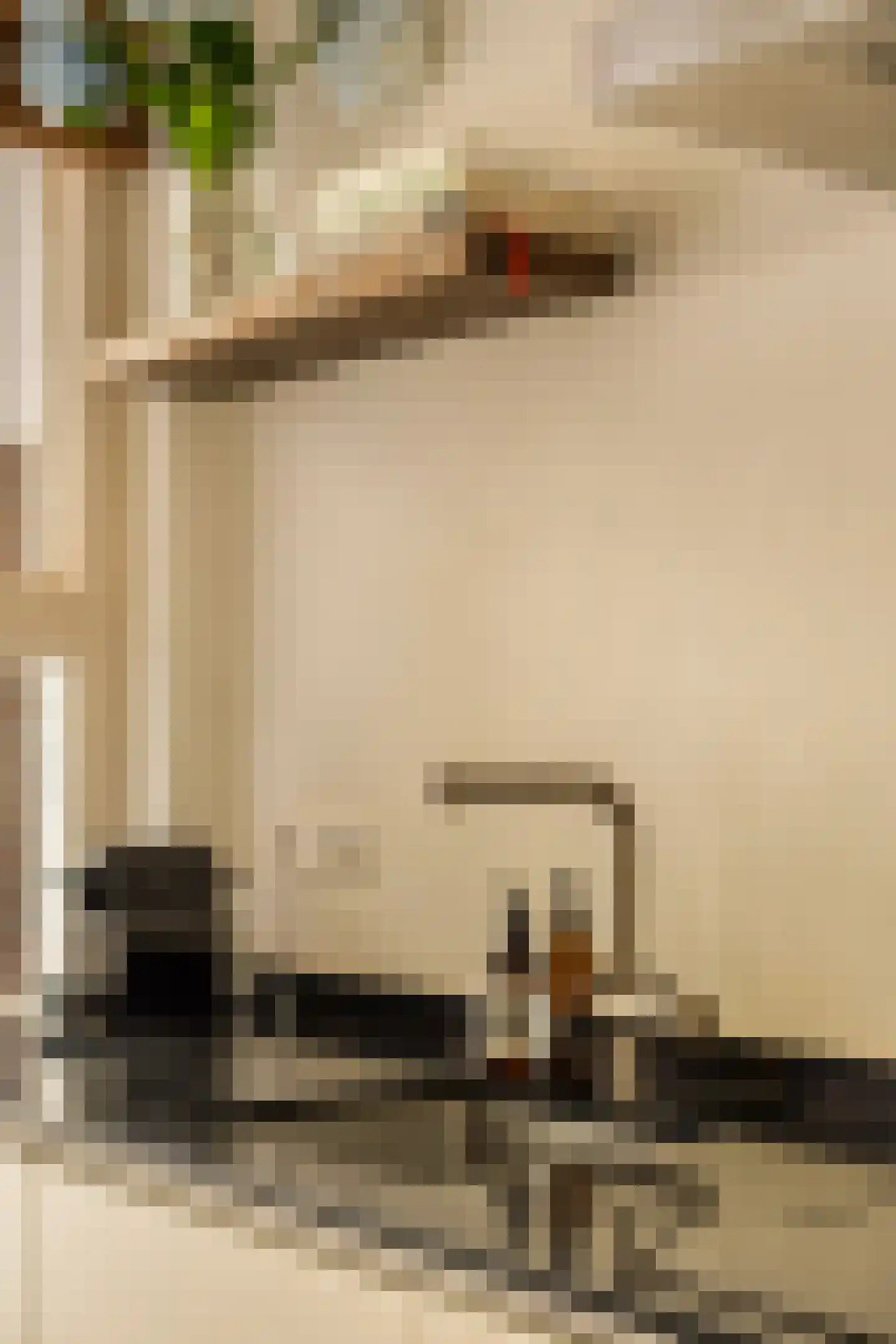 Bankastraat 52 A Amsterdam thumbnail 22