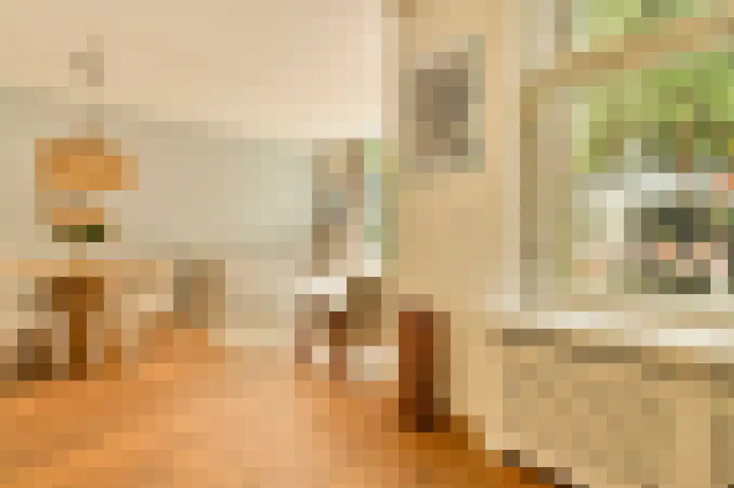 Bankastraat 52 A Amsterdam thumbnail 27