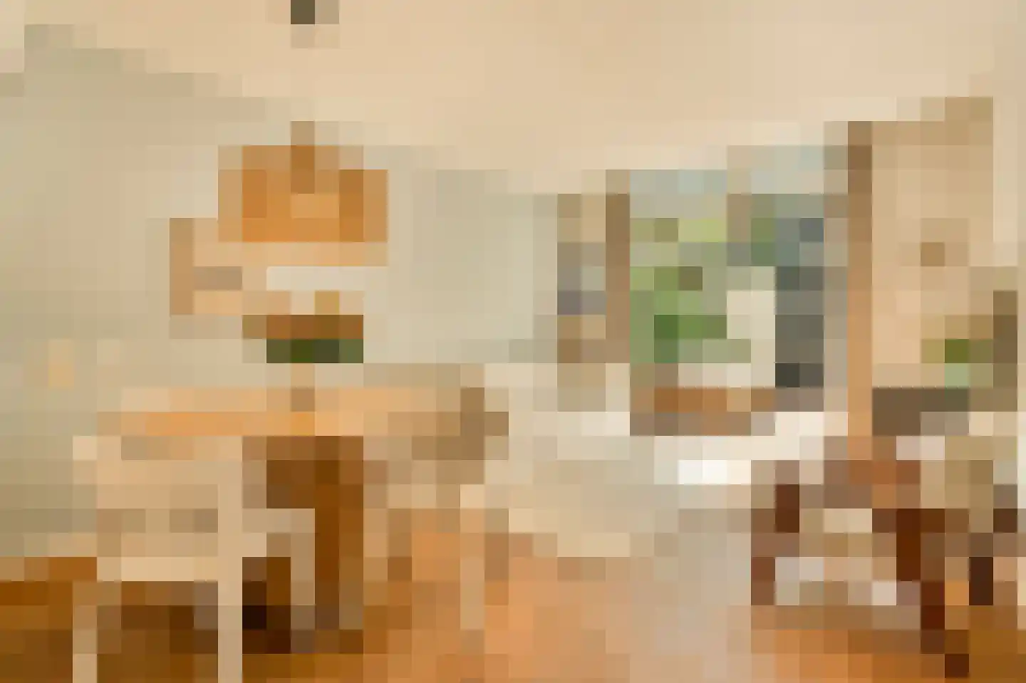 Bankastraat 52 A Amsterdam thumbnail 5