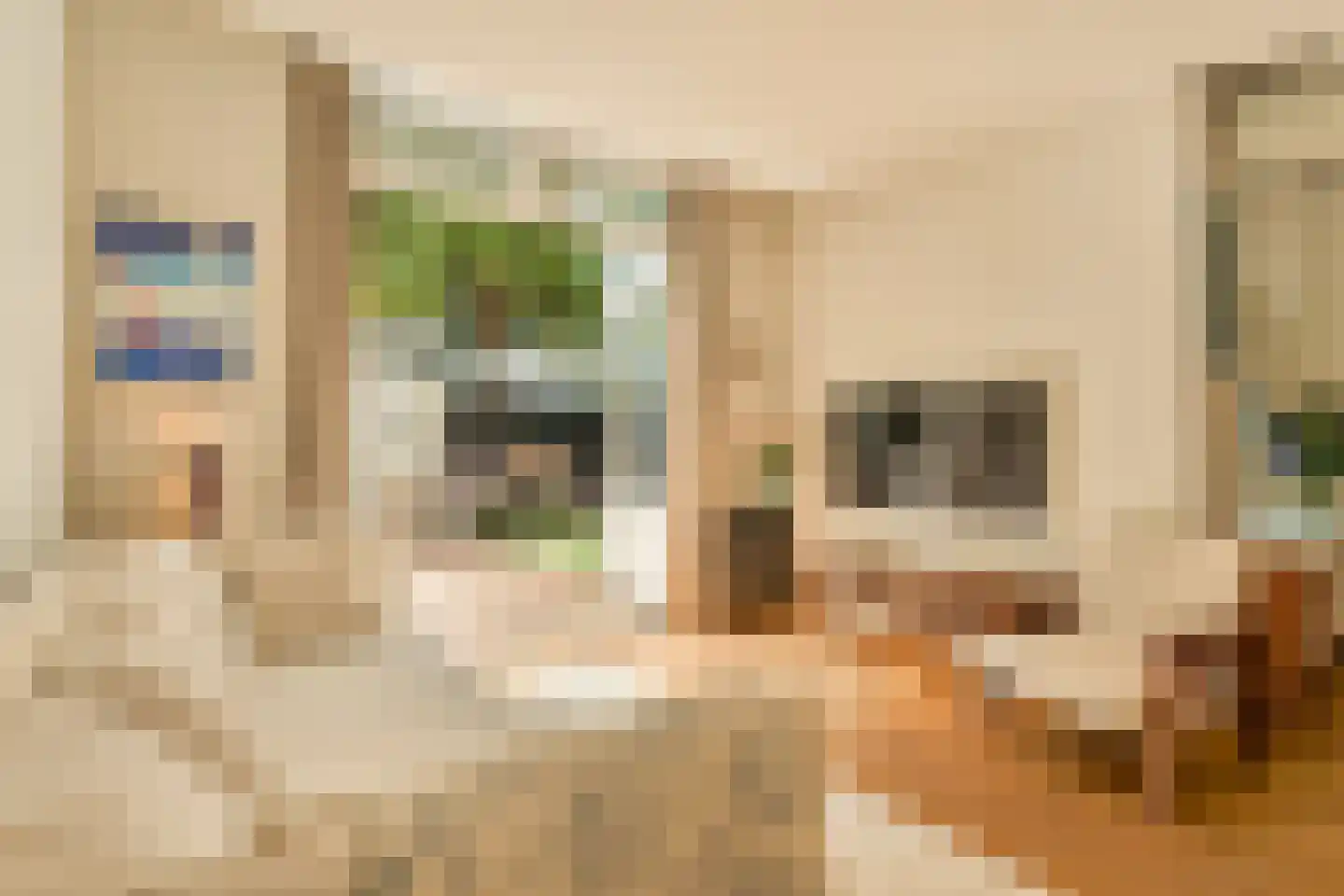 Bankastraat 52 A Amsterdam thumbnail 7