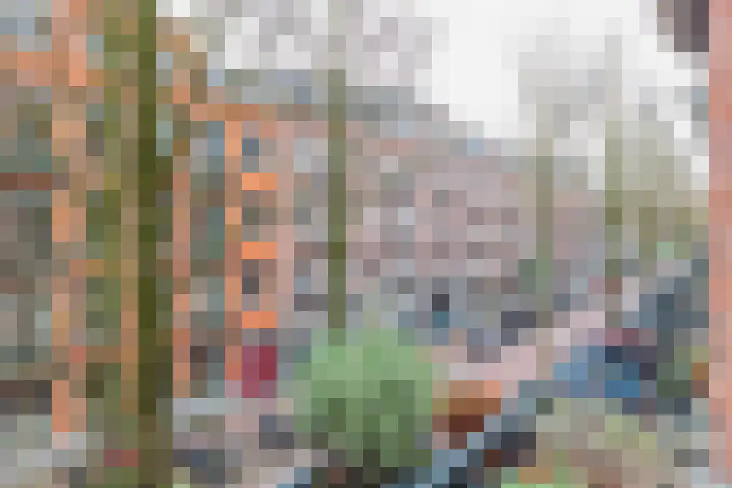 Bankastraat 57 C Amsterdam thumbnail 6
