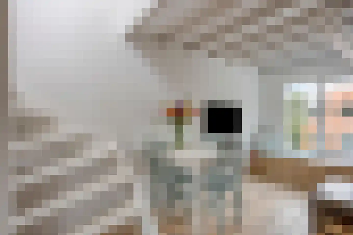 Bankastraat 59 E Amsterdam thumbnail 11