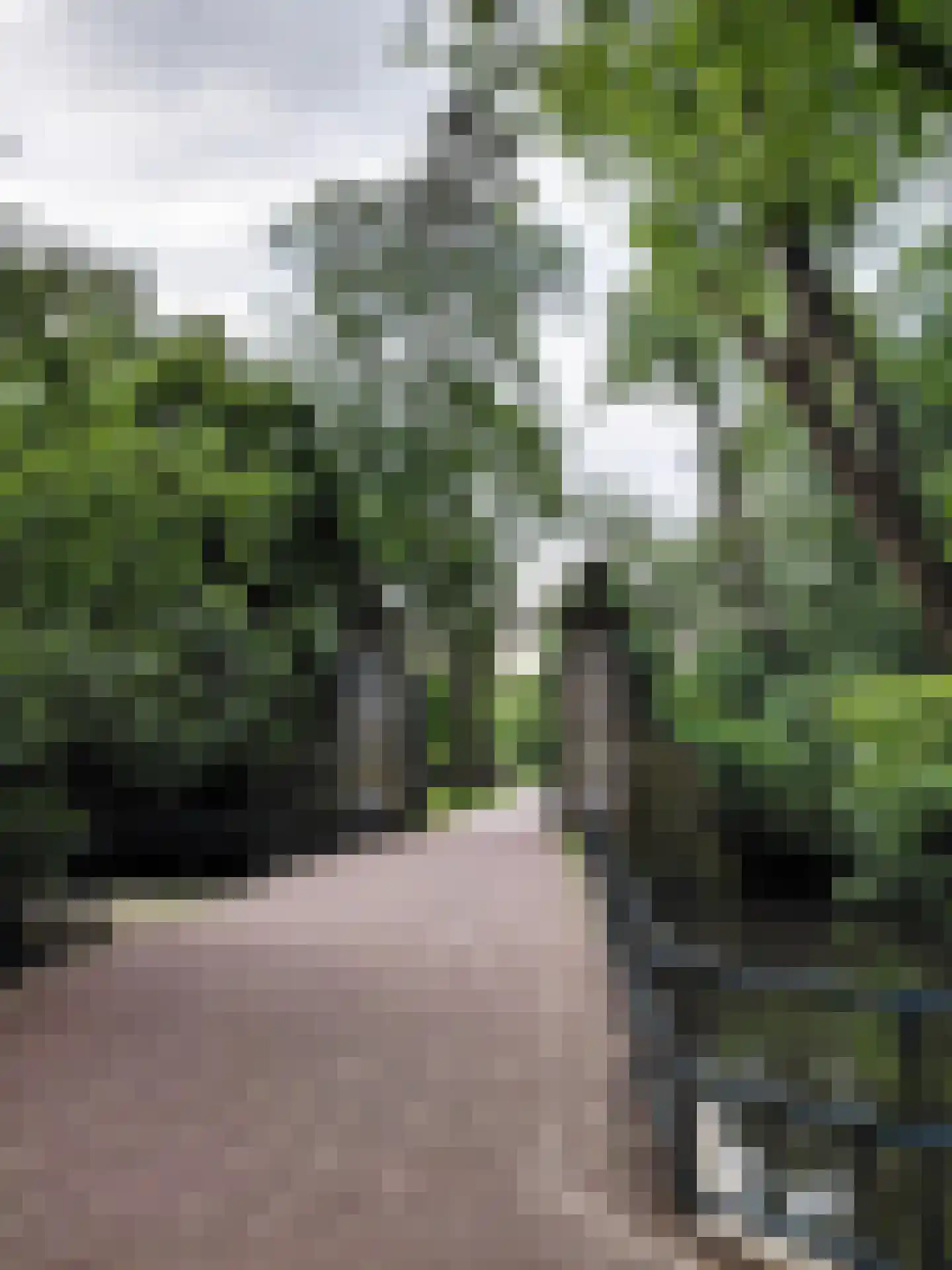 Bankastraat 59 E Amsterdam thumbnail 39