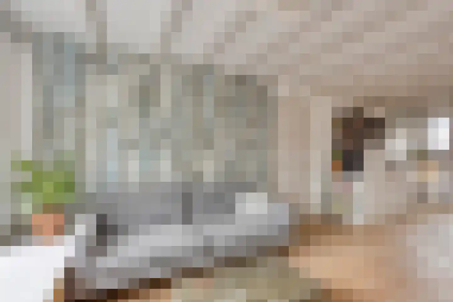 Bankastraat 59 E Amsterdam thumbnail 9