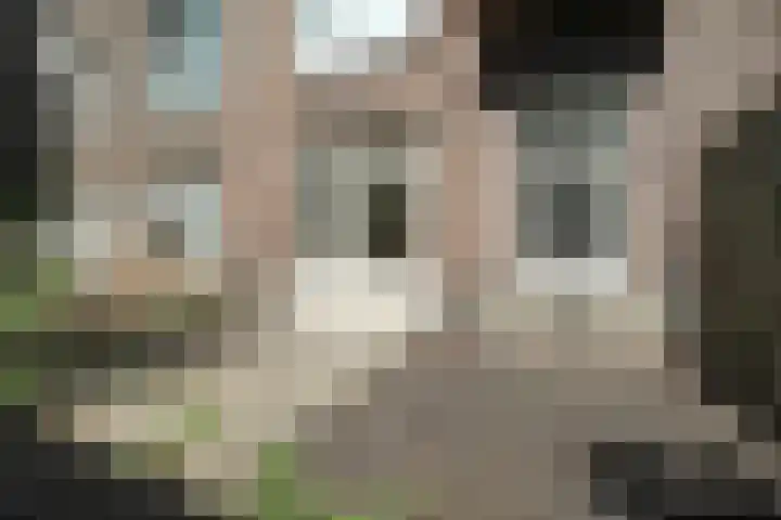 Bankastraat 62 C Amsterdam thumbnail 15