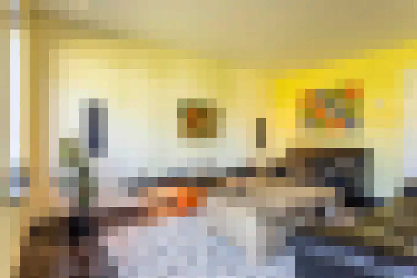 Bankastraat 8 Maastricht thumbnail 9