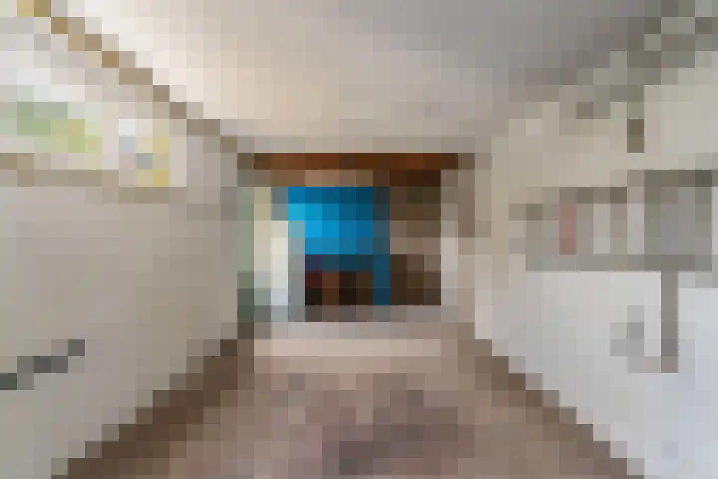 Bankenlaan 17 Beverwijk thumbnail 27