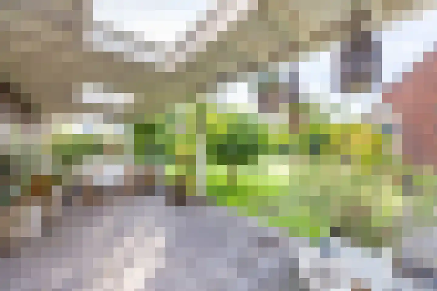Bankenlaan 79 Beverwijk thumbnail 29