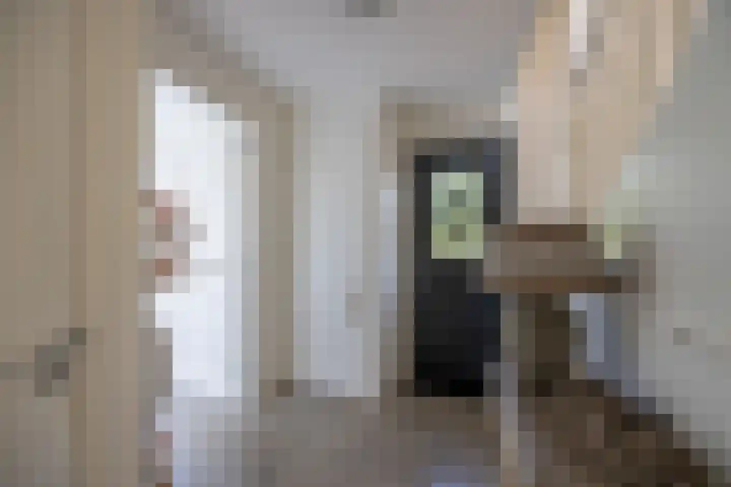 Bankenlaan 79 Beverwijk thumbnail 36