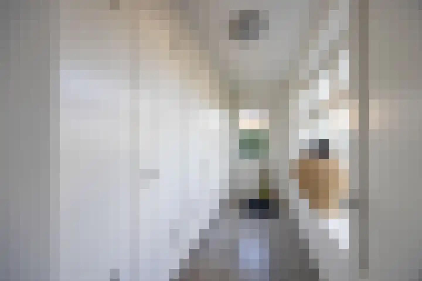 Bankenlaan 79 Beverwijk thumbnail 41