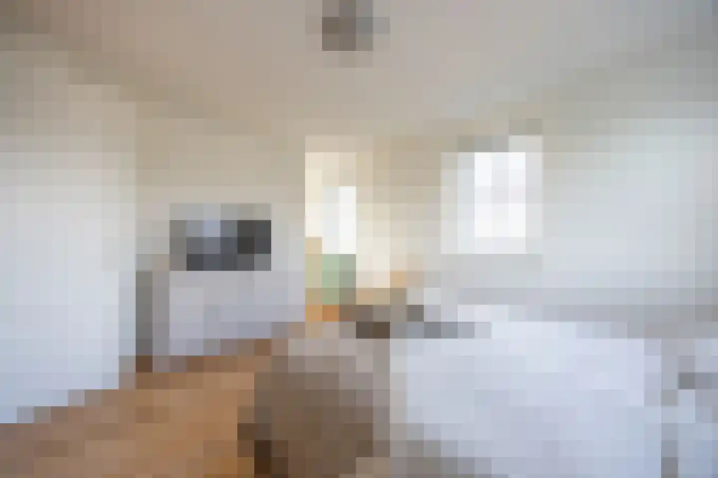 Bankenlaan 79 Beverwijk thumbnail 48