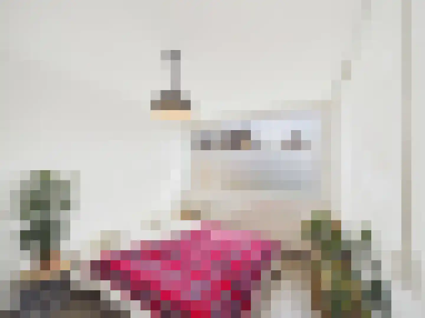 Bankertstraat 4 Axel thumbnail 10
