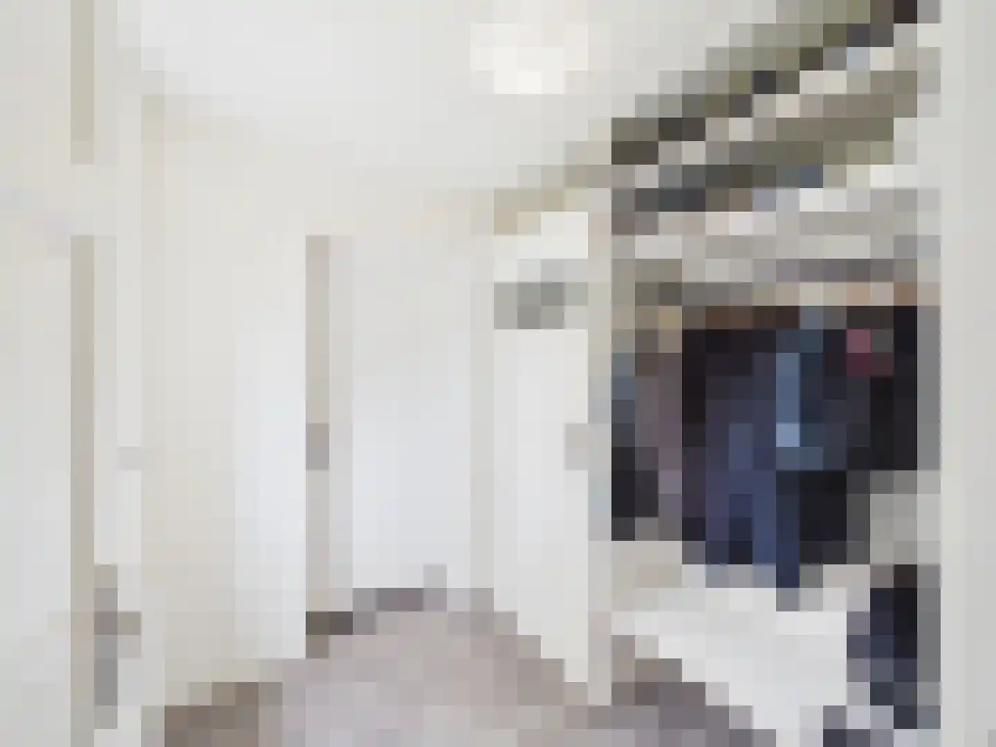 Bankertstraat 4 Axel thumbnail 11