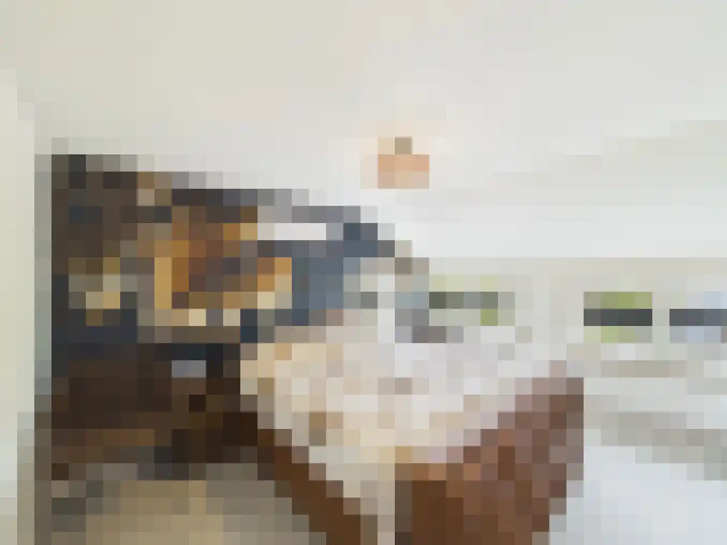 Bankertstraat 4 Axel thumbnail 17