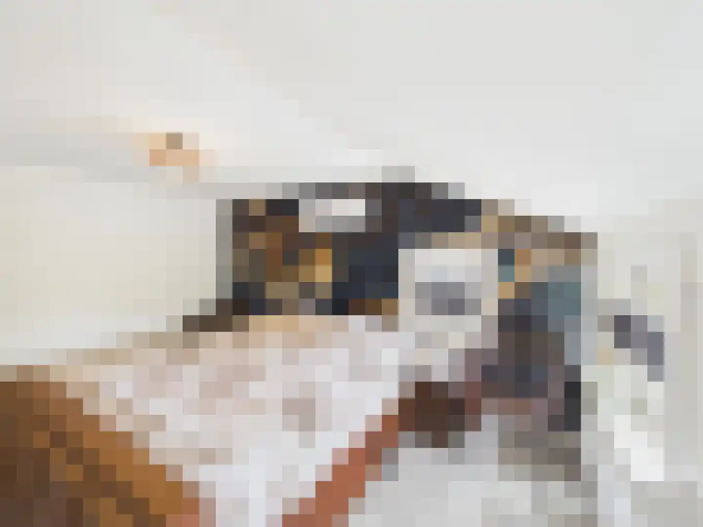 Bankertstraat 4 Axel thumbnail 18