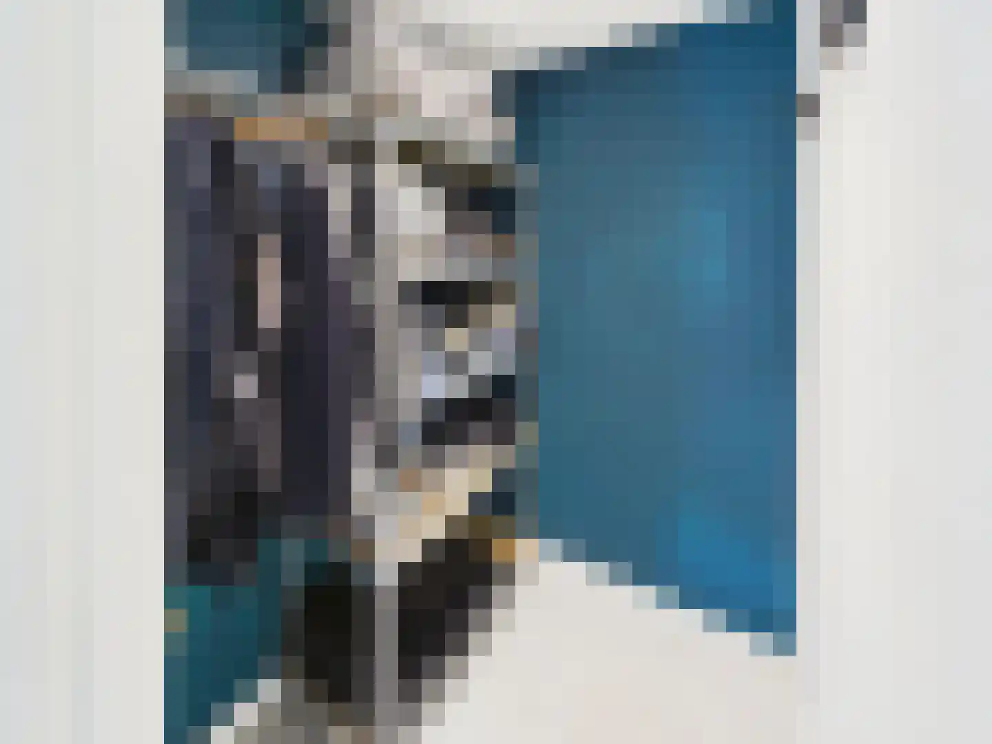 Bankertstraat 4 Axel thumbnail 21