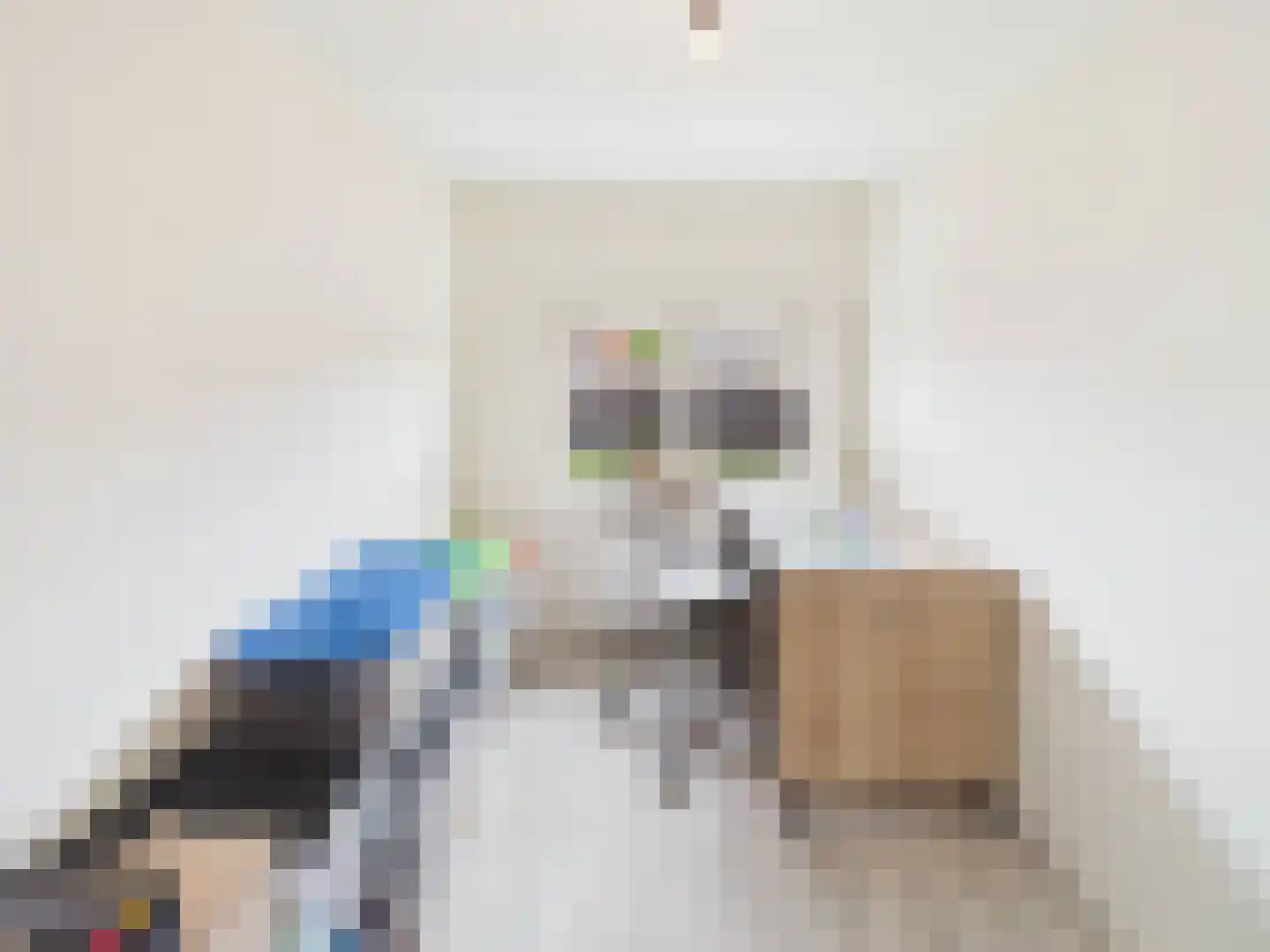 Bankertstraat 4 Axel thumbnail 28