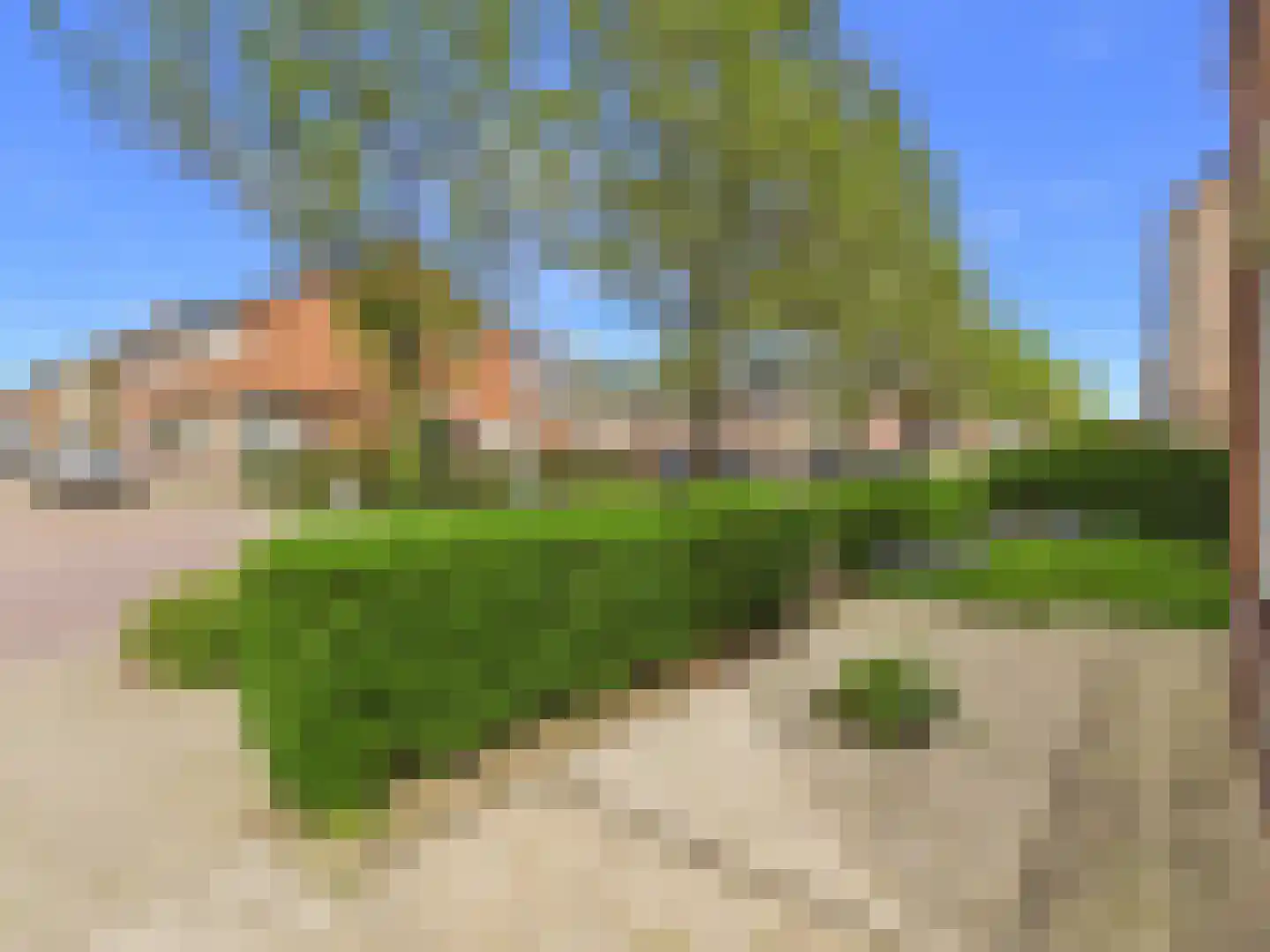 Bankertstraat 4 Axel thumbnail 39