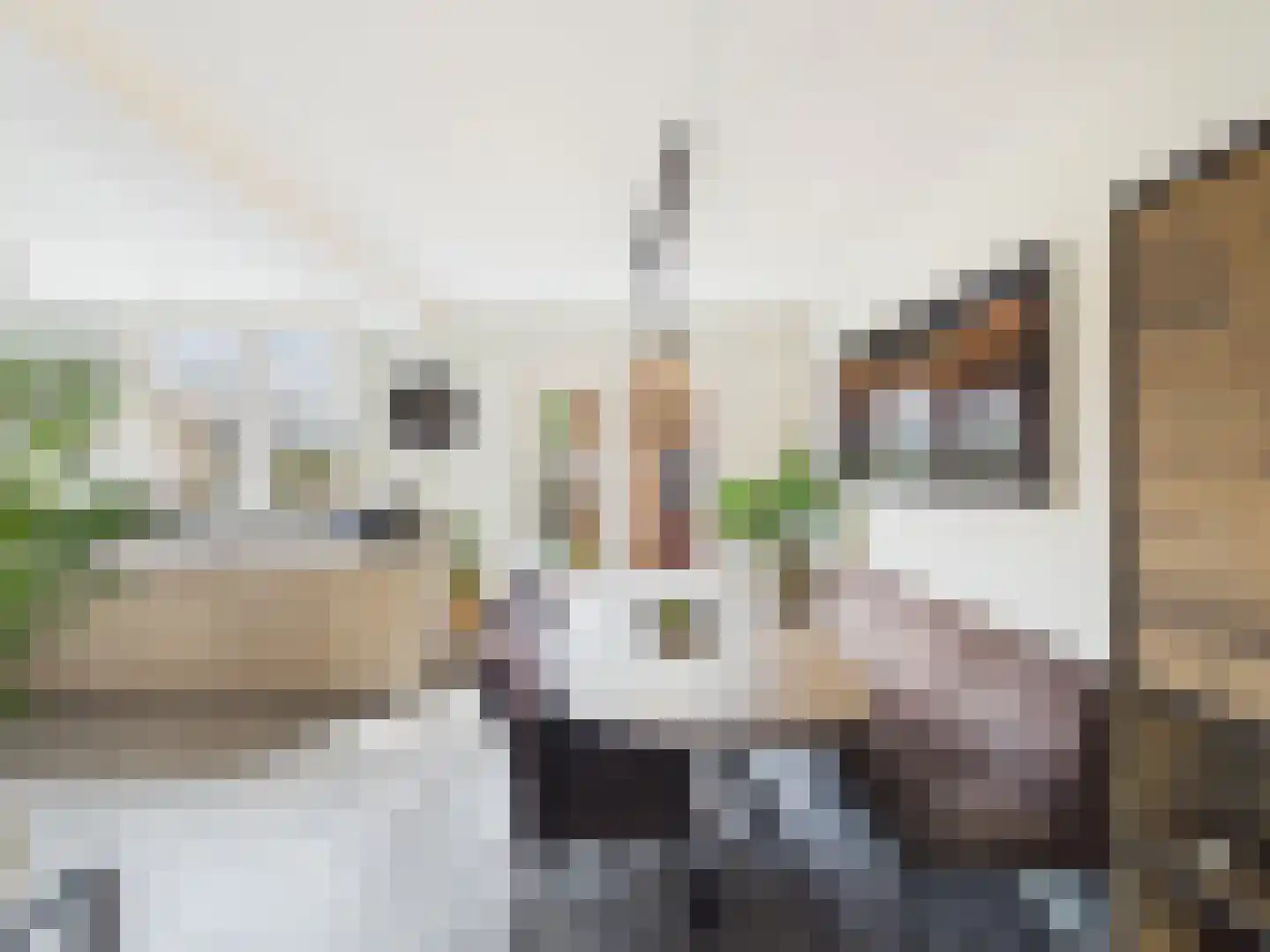 Bankertstraat 4 Axel thumbnail 4