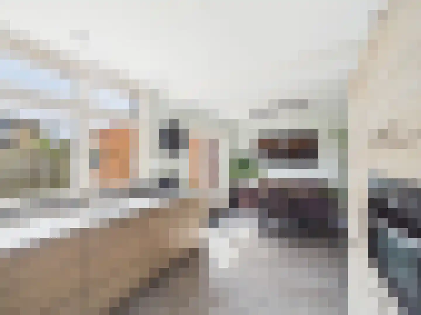 Bankertstraat 4 Axel thumbnail 6