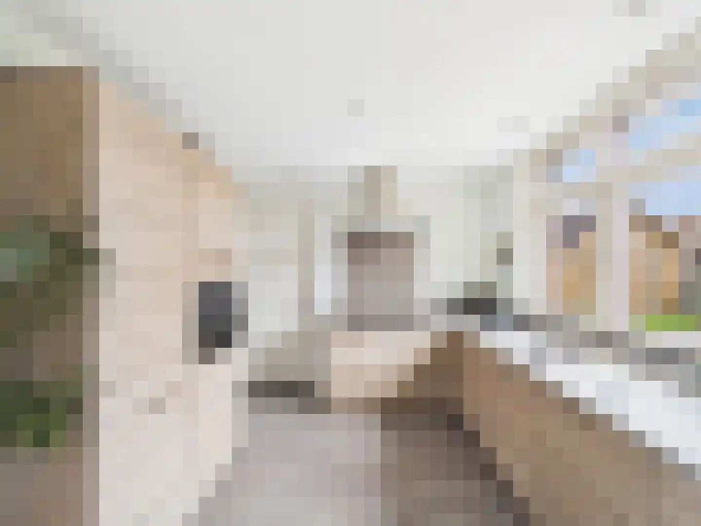Bankertstraat 4 Axel thumbnail 8