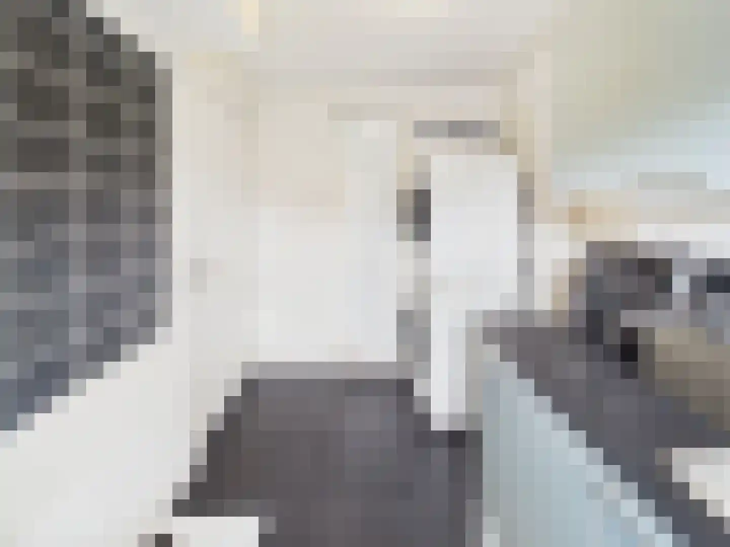 Bankertstraat 4 Axel thumbnail 9