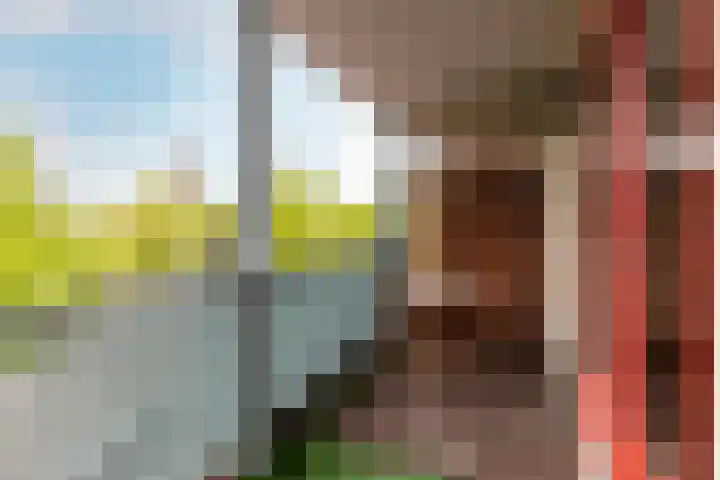 Bankierbaan 24 Almere thumbnail 22