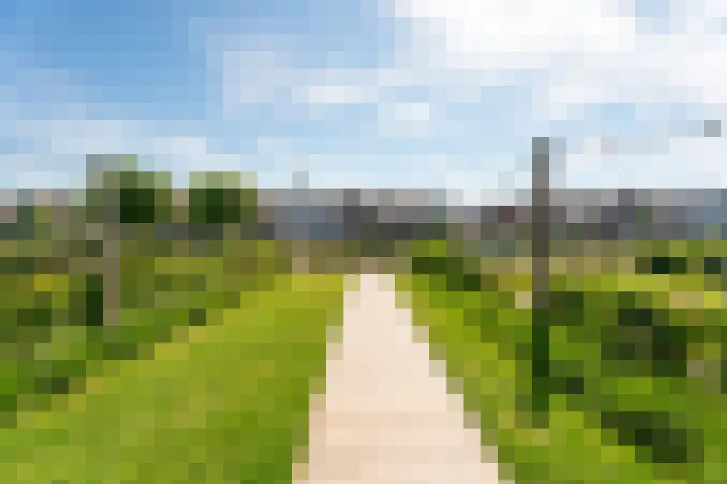 Bankijkerweg 167 Rijnsburg thumbnail 31
